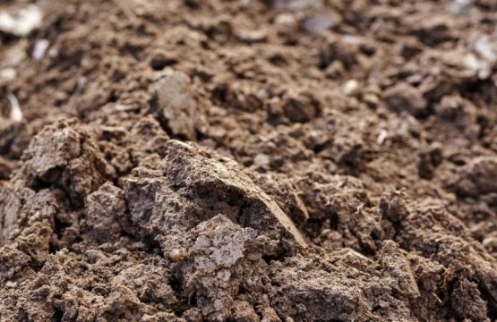Bahçe Toprağı Dolgu Çalışmaları 